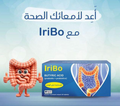 Iribo probiotic prebiotic tablets 30 gut health digestive flora balance microbiome support Health Boutique