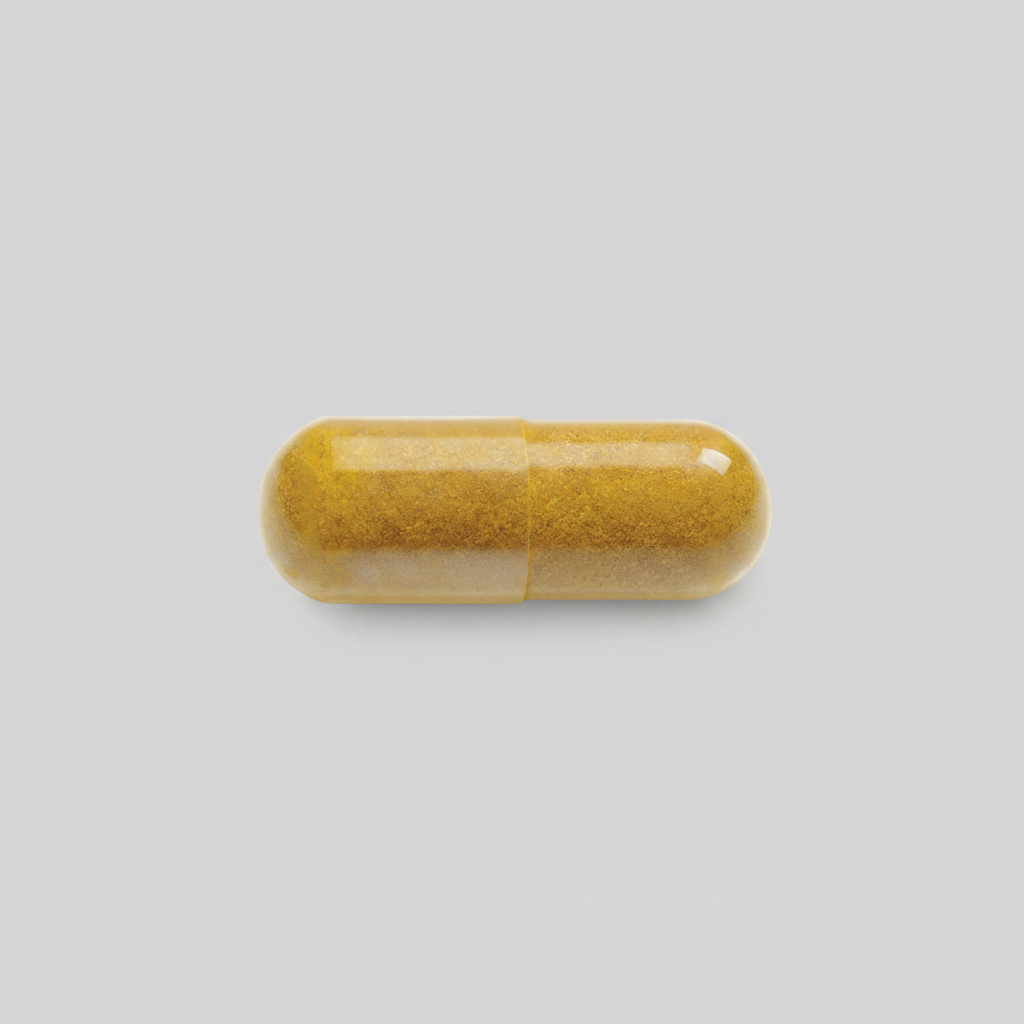 Jamieson curcumin turmeric supplement joint inflammation support antioxidant natural turmeric extract Health Boutique
