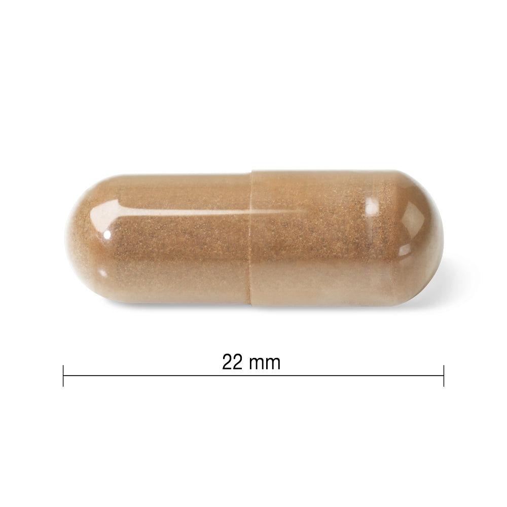 Jamieson mushroom complex immune support supplement beta glucans antioxidant natural immunity booster Health Boutique