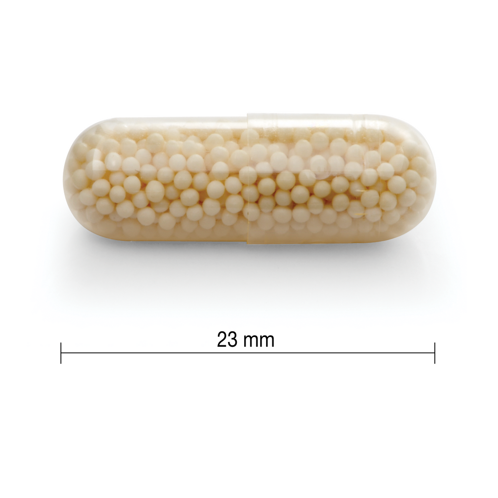 Jamieson vitamin C 500mg timed release capsules immune support antioxidant collagen supplement Health Boutique
