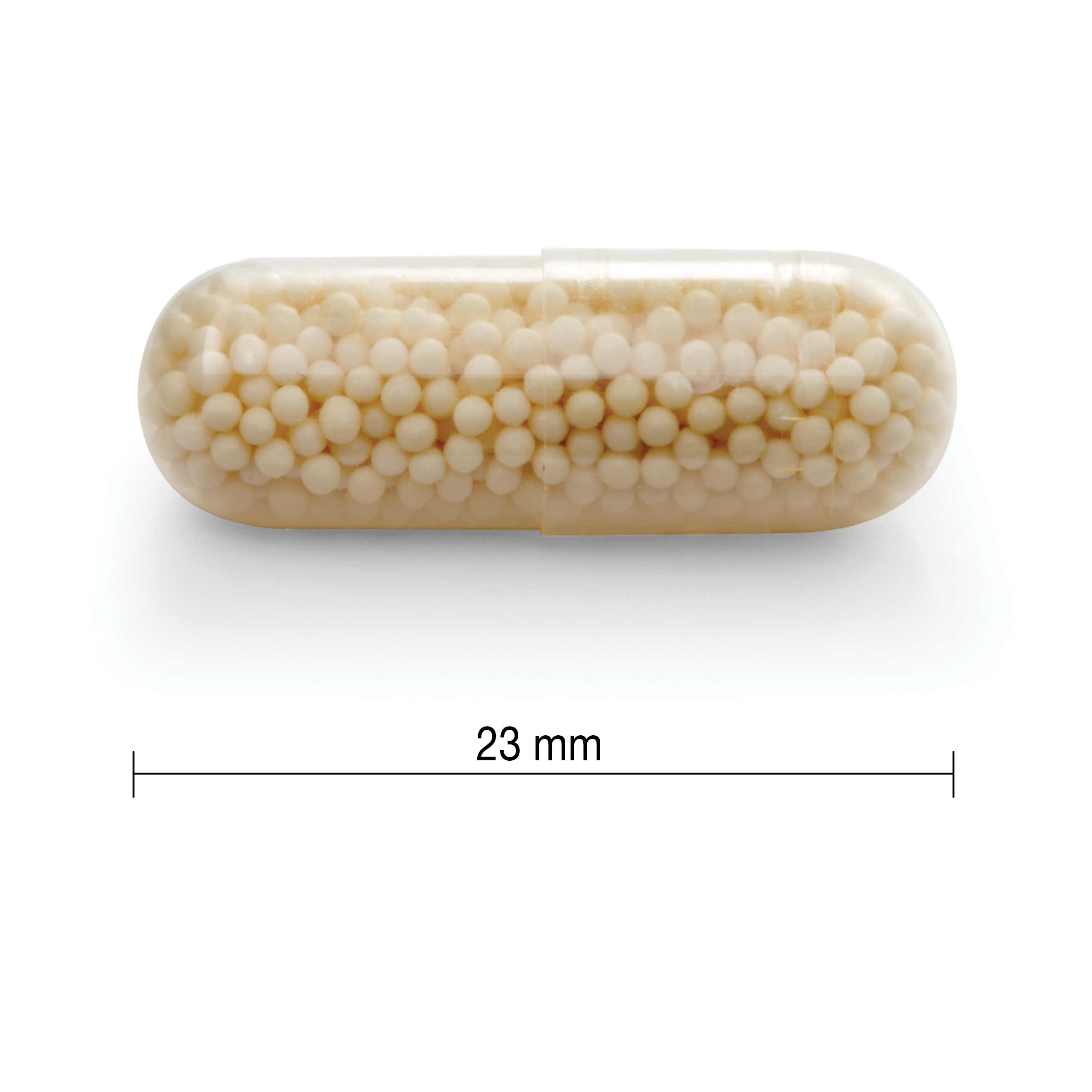 Jamieson vitamin C 500mg timed release capsules immune support antioxidant collagen supplement Health Boutique